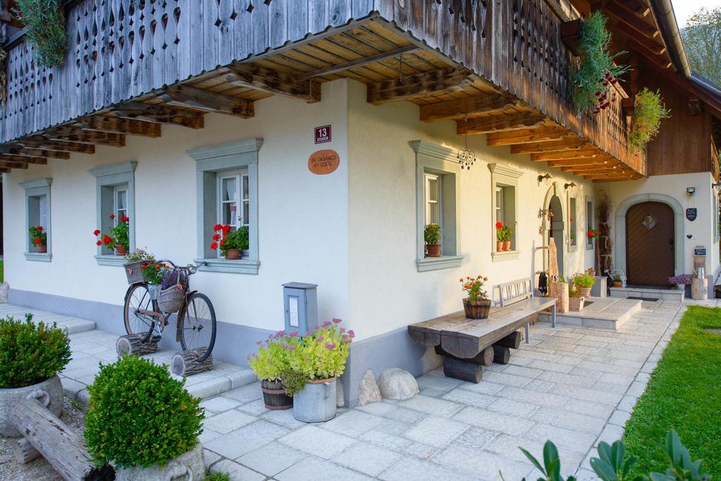 博希尼 Rustic House 13旅馆 外观 照片